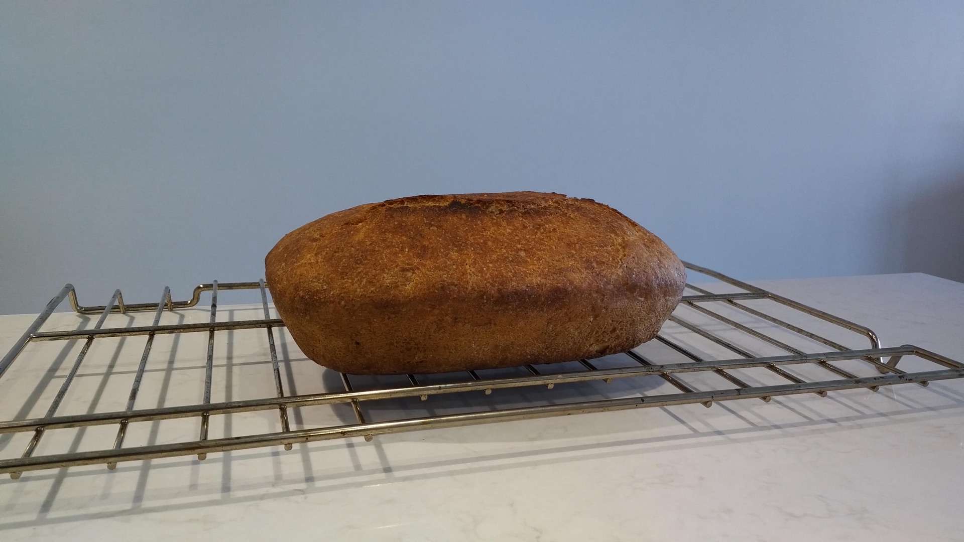 Dark Rye Sandwich Loaf - Day II