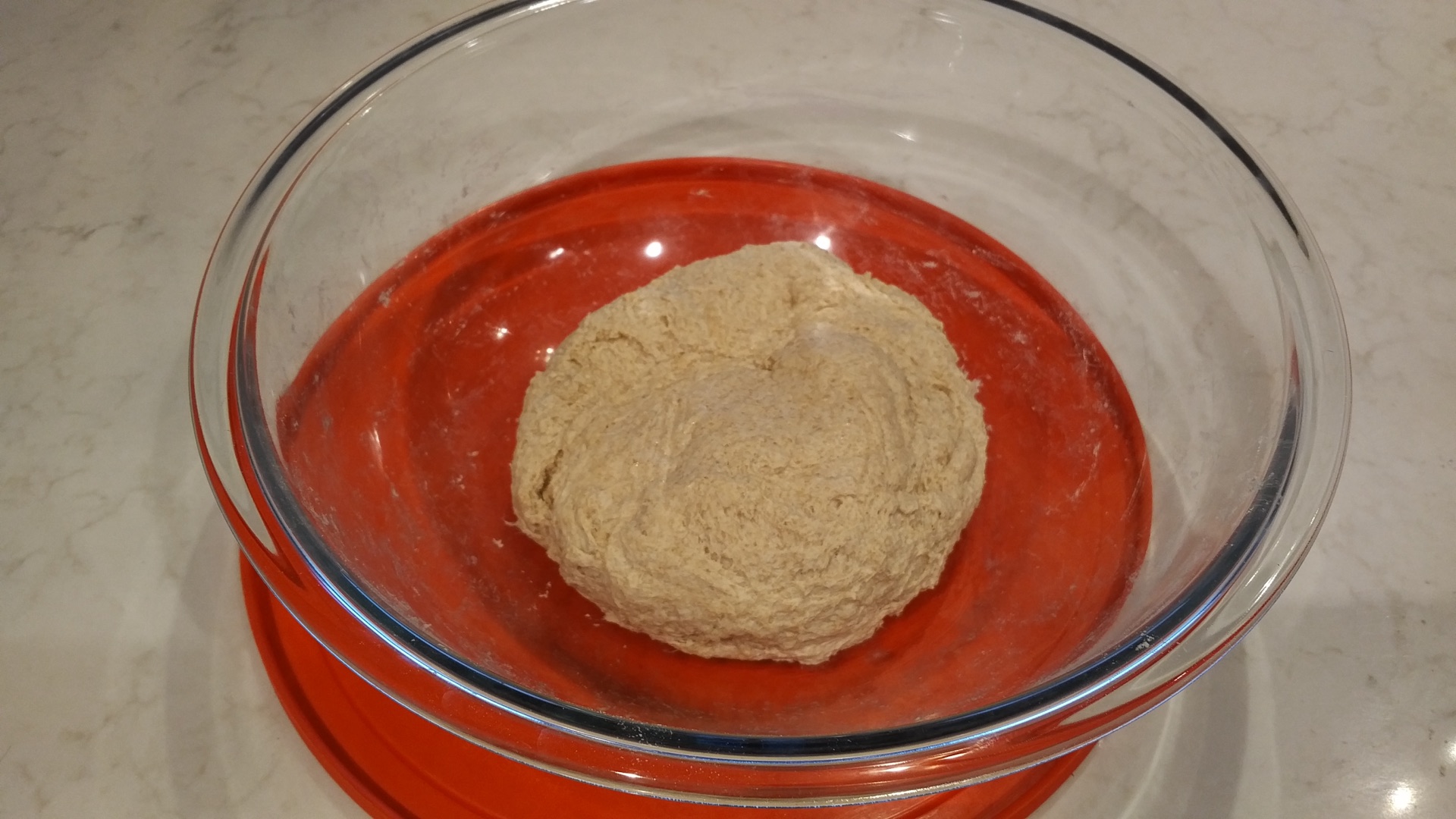 Chewy Pita Day One