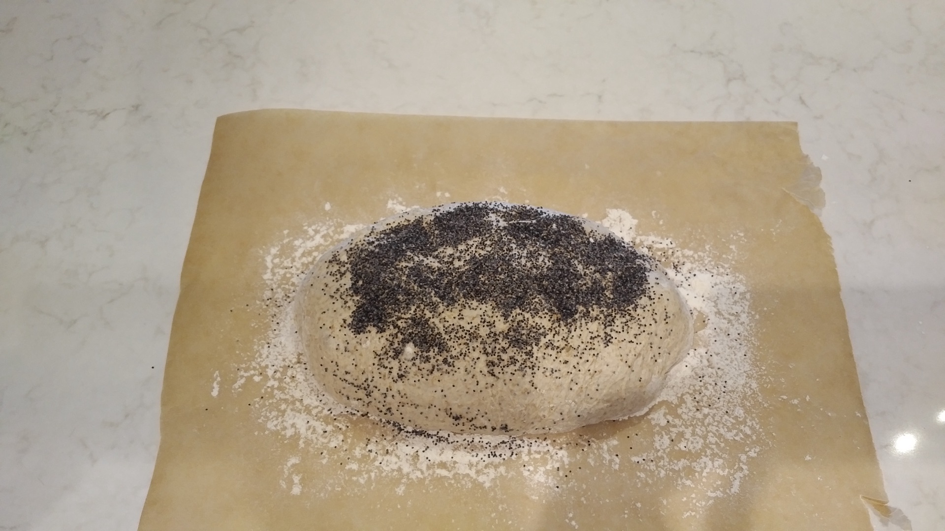 Seeded dough