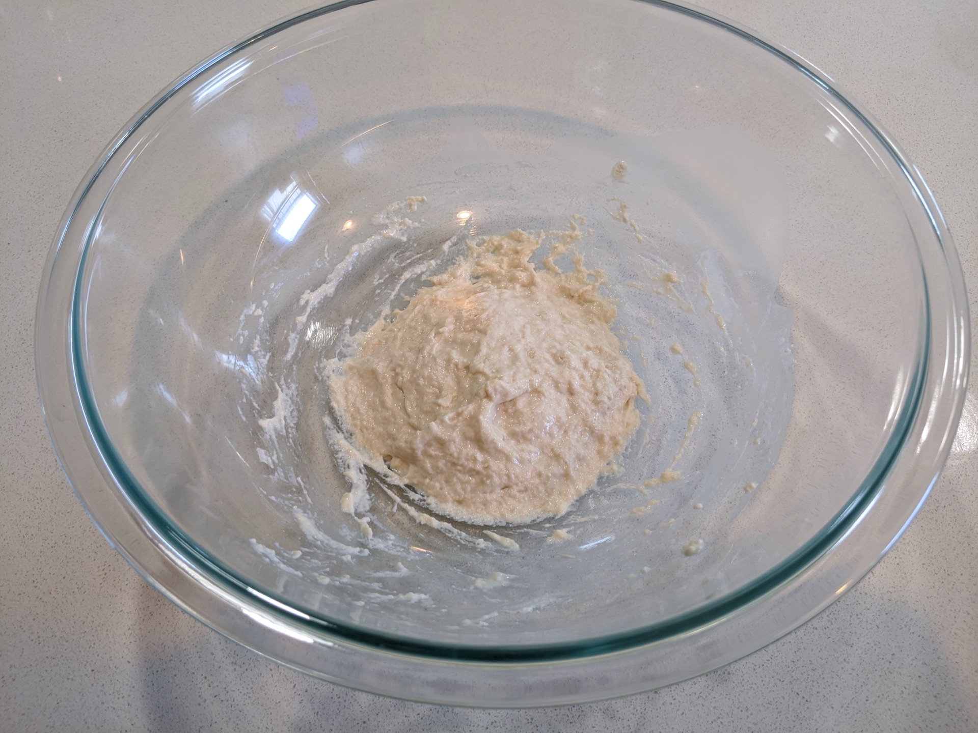 Toast Worthy Bread - Day 1