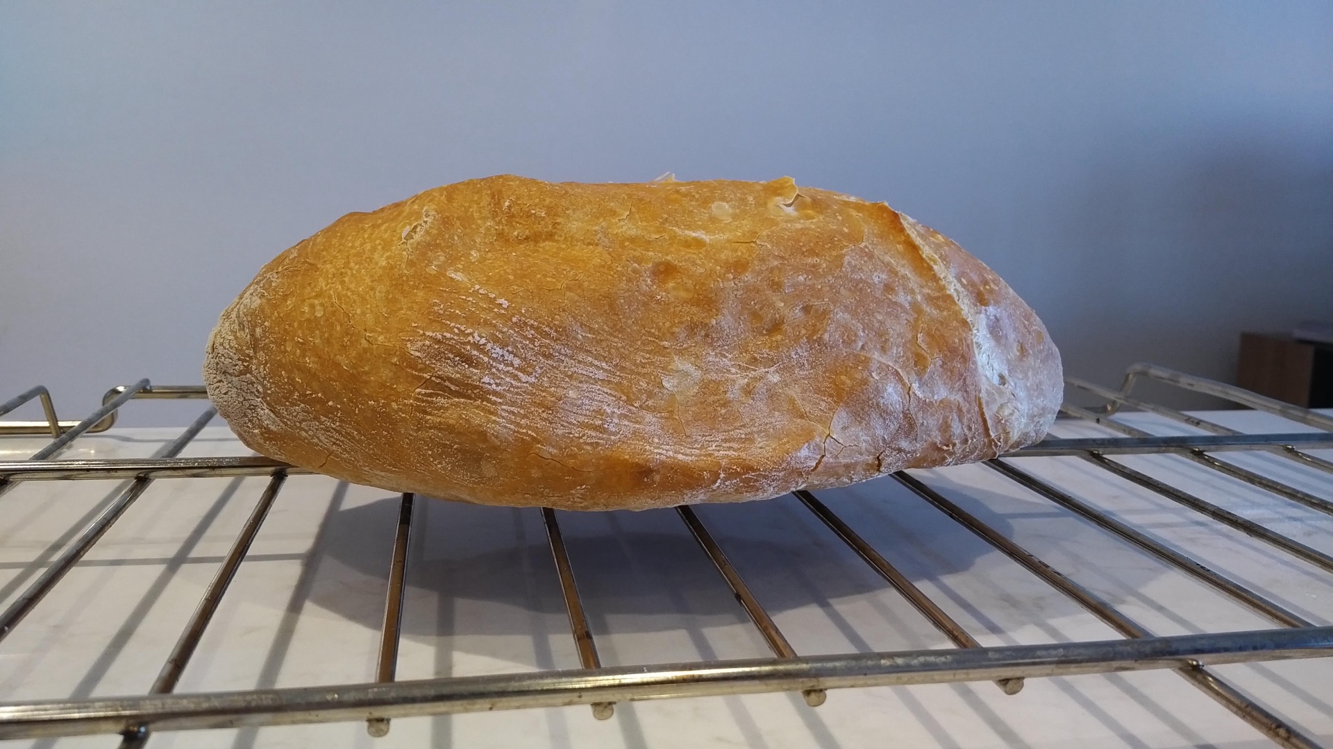 Hybrid Loaf III