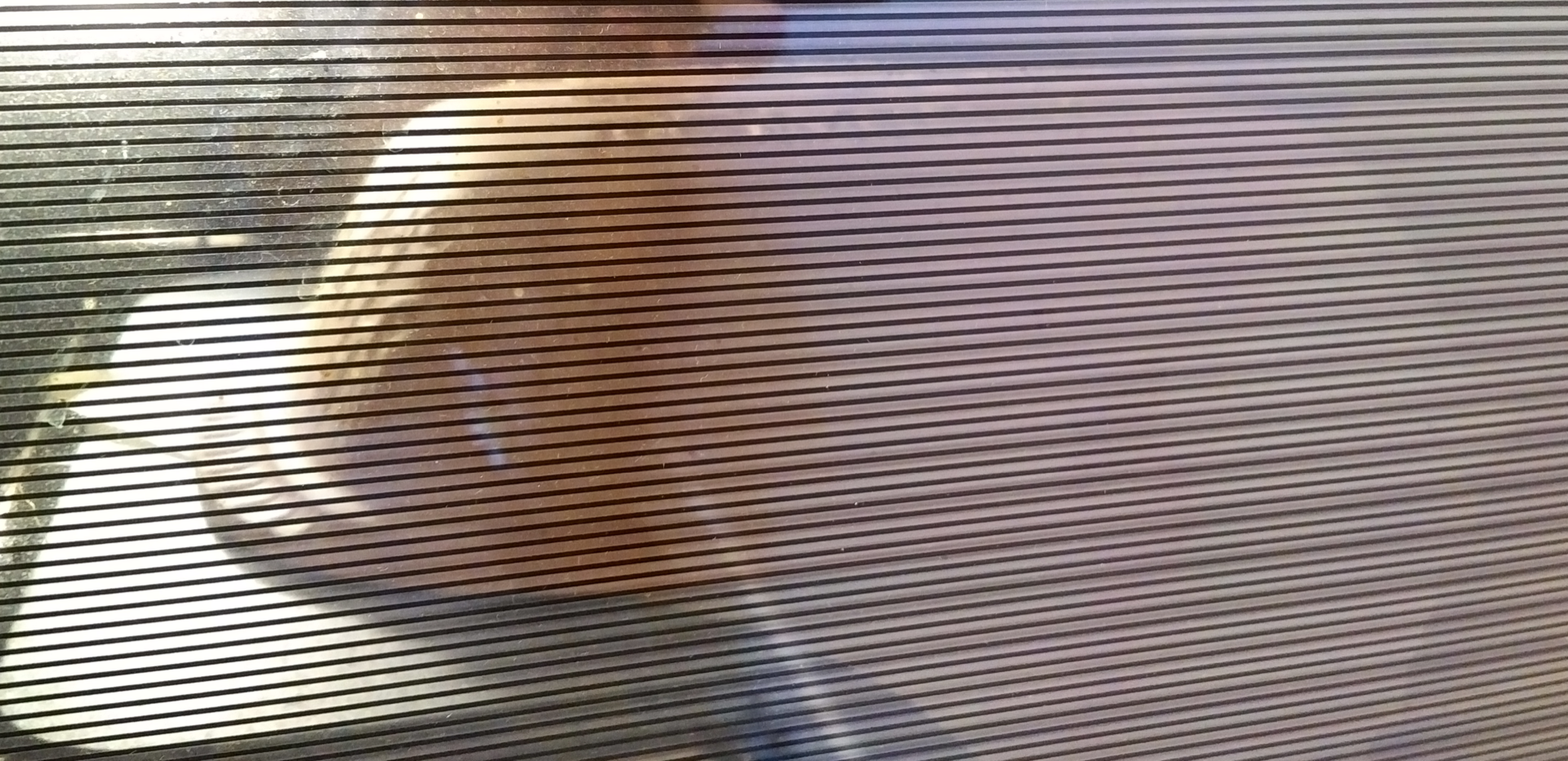 Covered dough baking