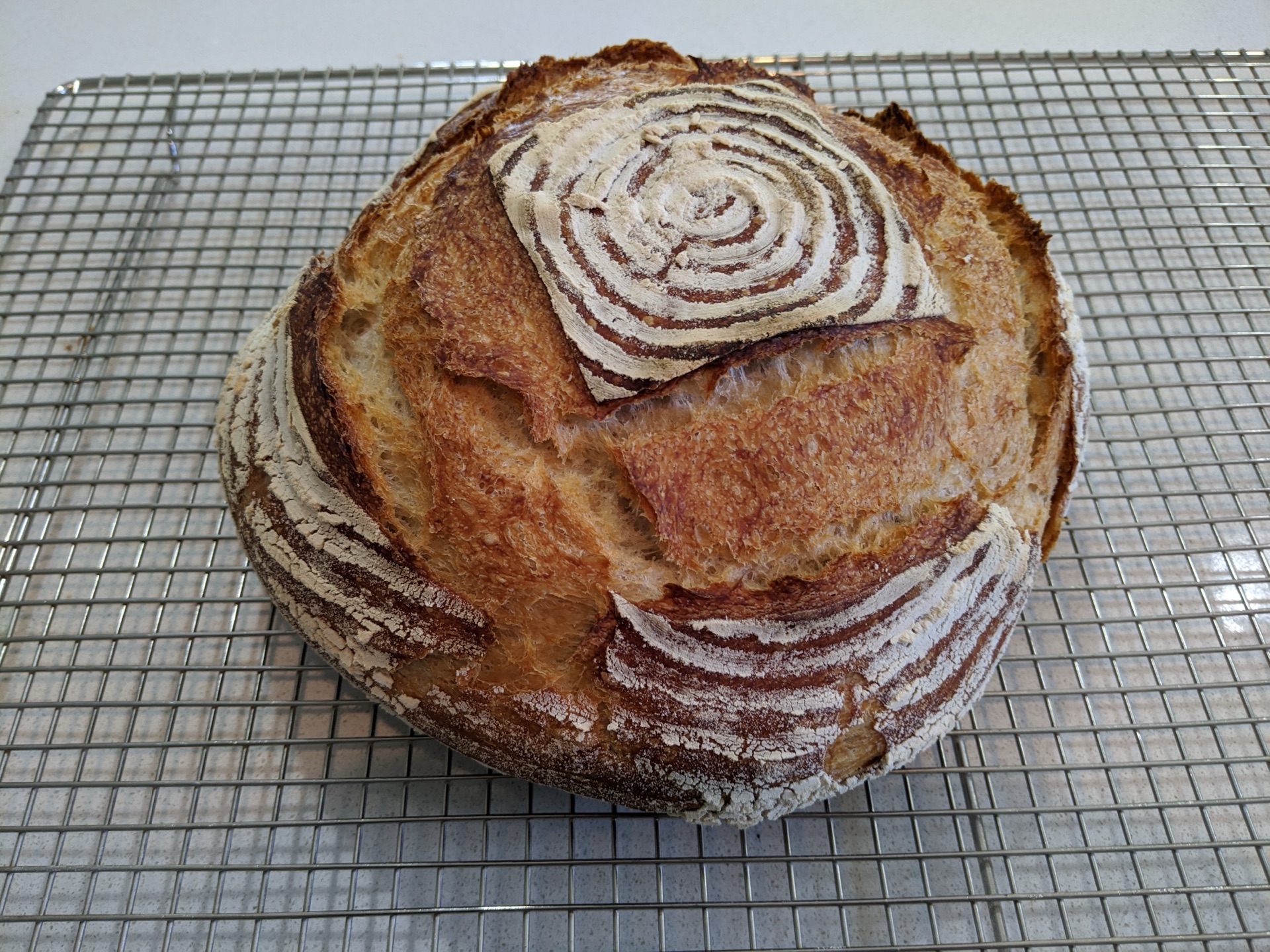 Toast Worthy Bread - Day 3