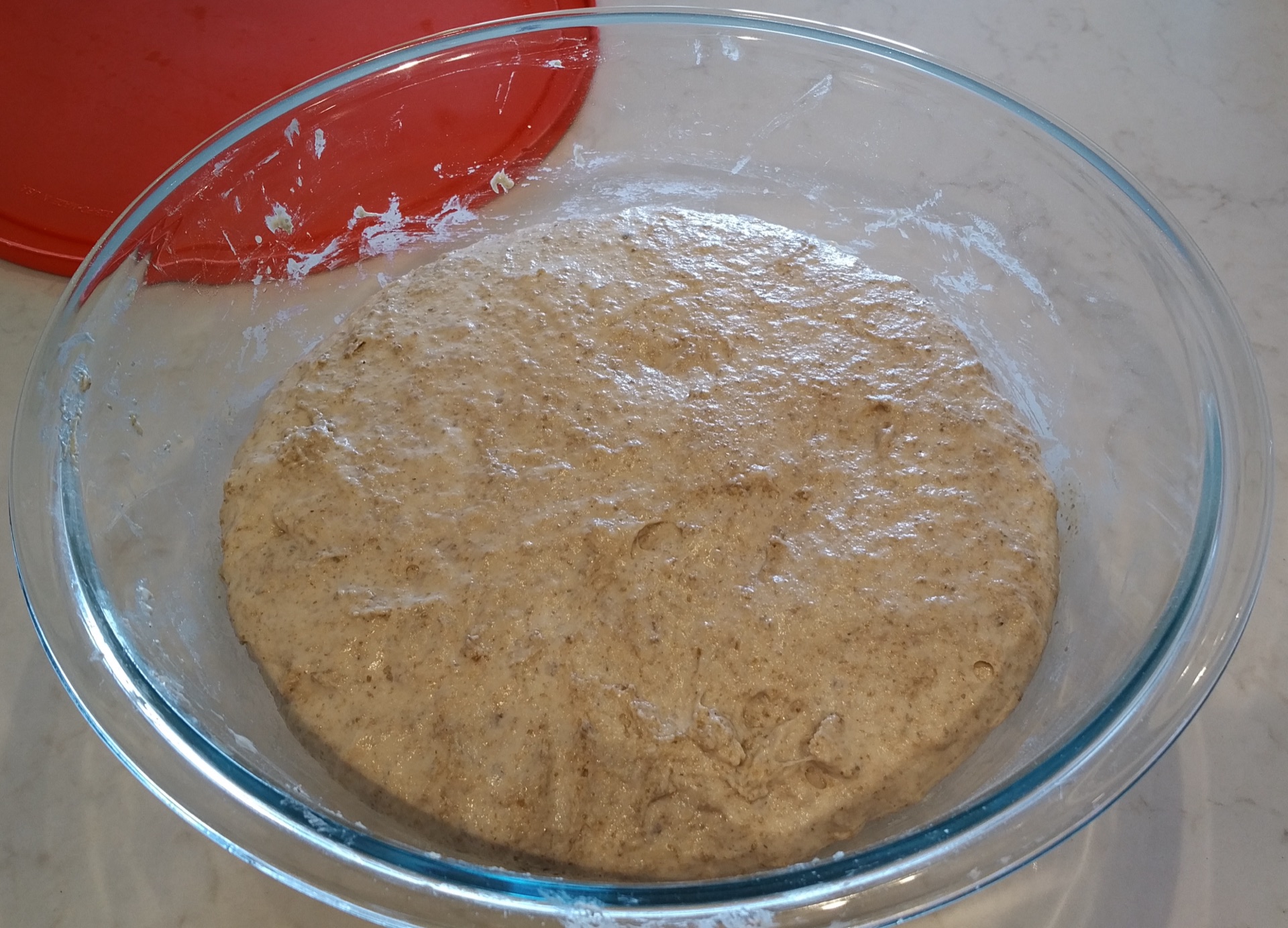 First rise