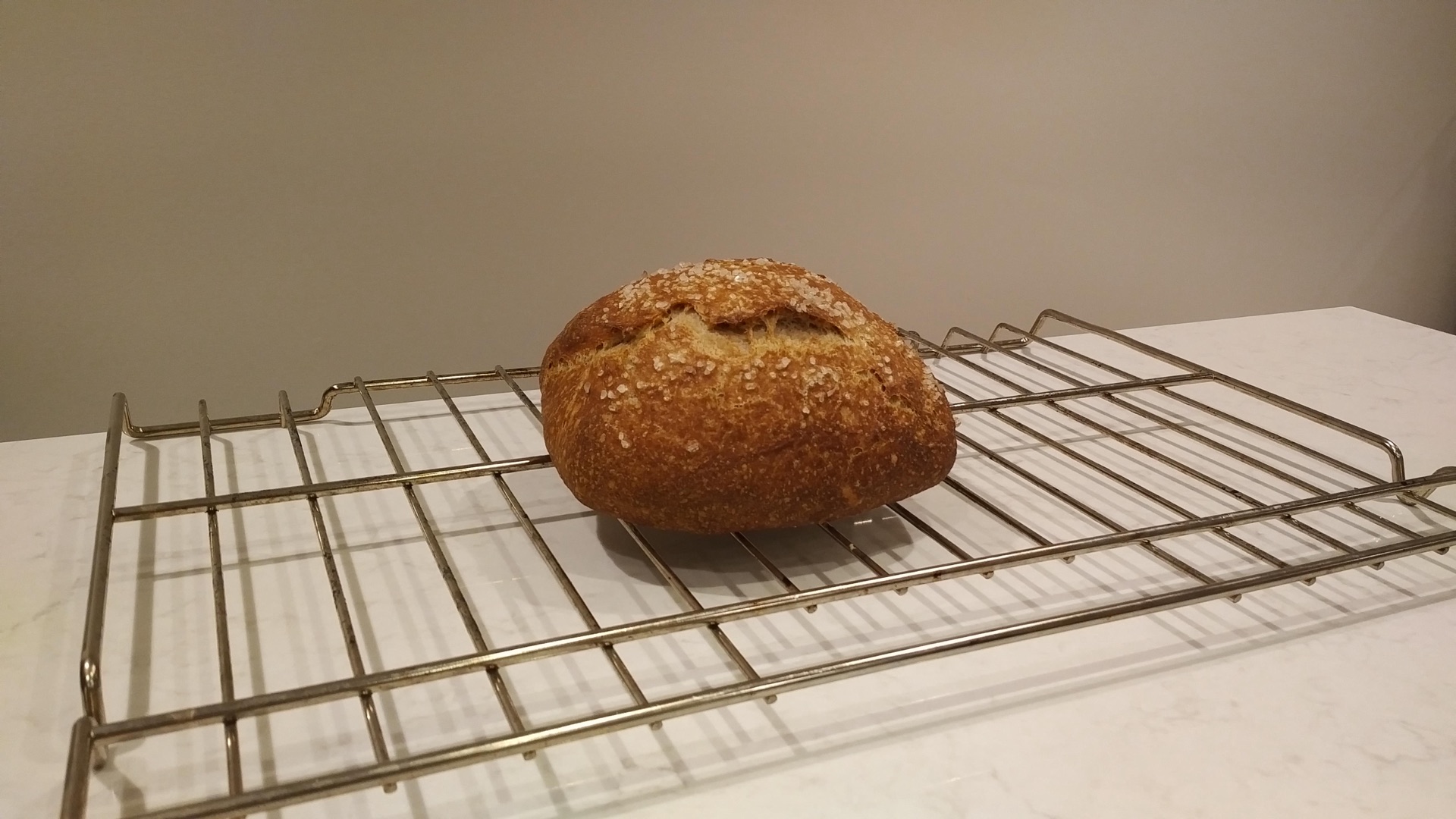 Wholesome Fermented Loaf P2