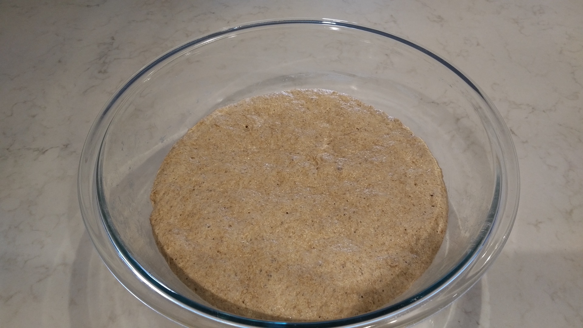 Risen Dough