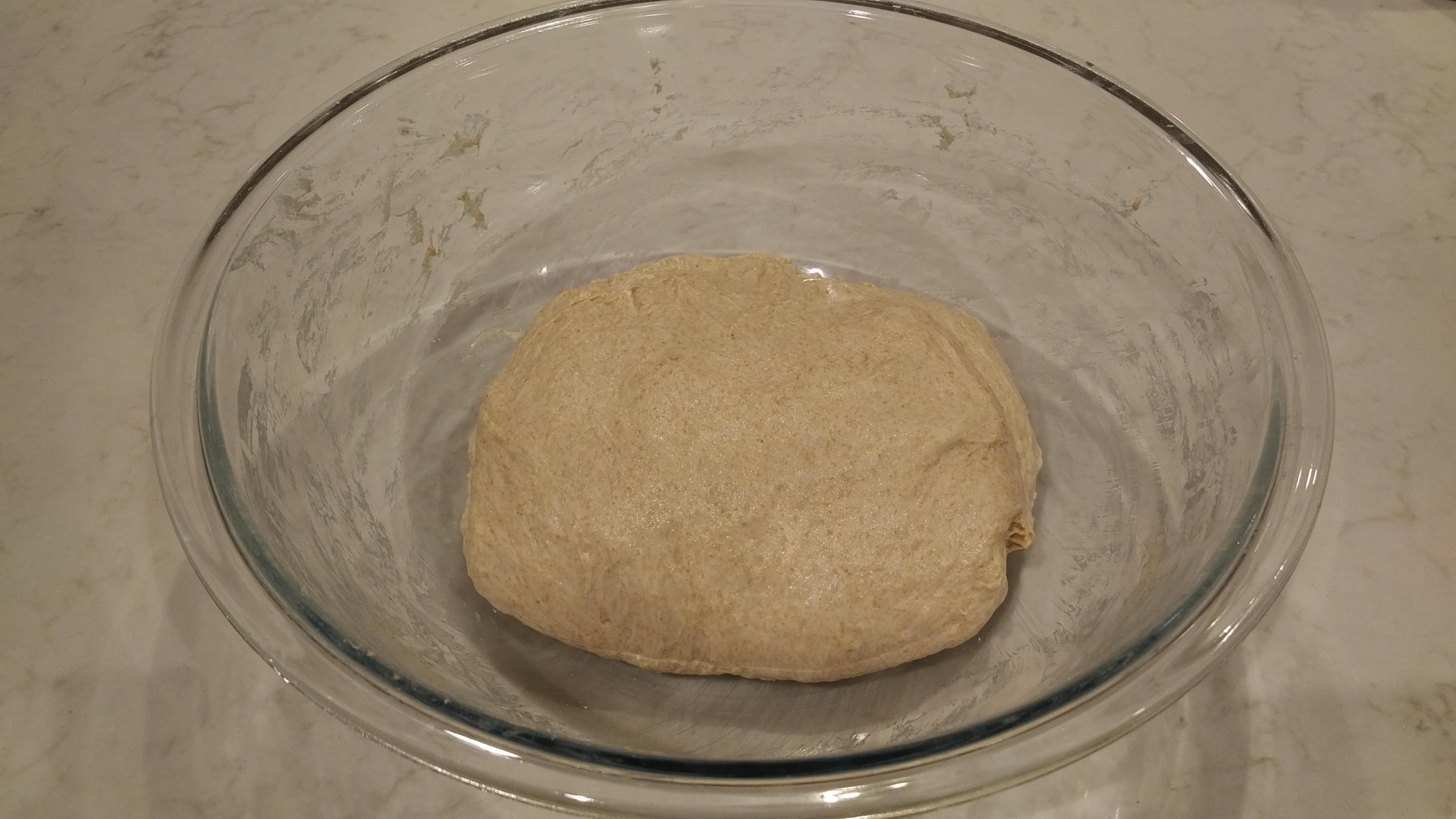 Wholesome Fermented Loaf P1