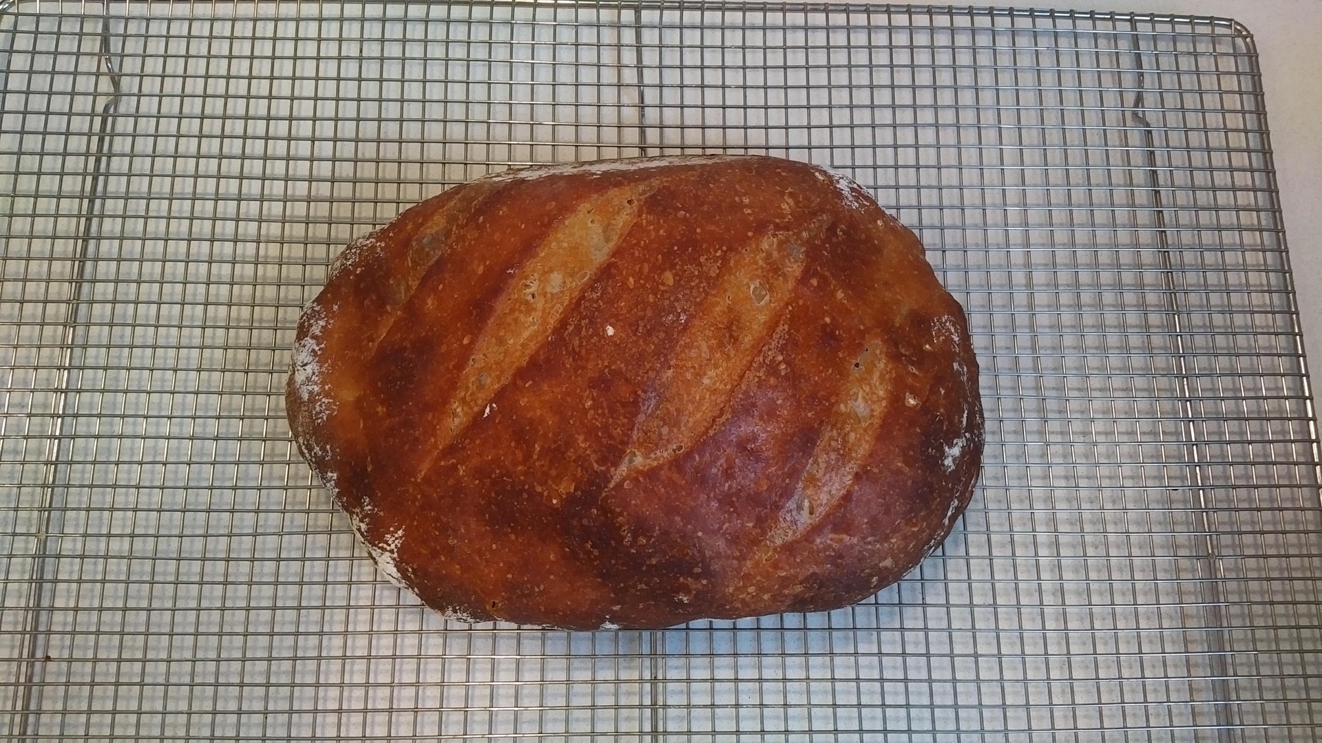 For the love of bread
