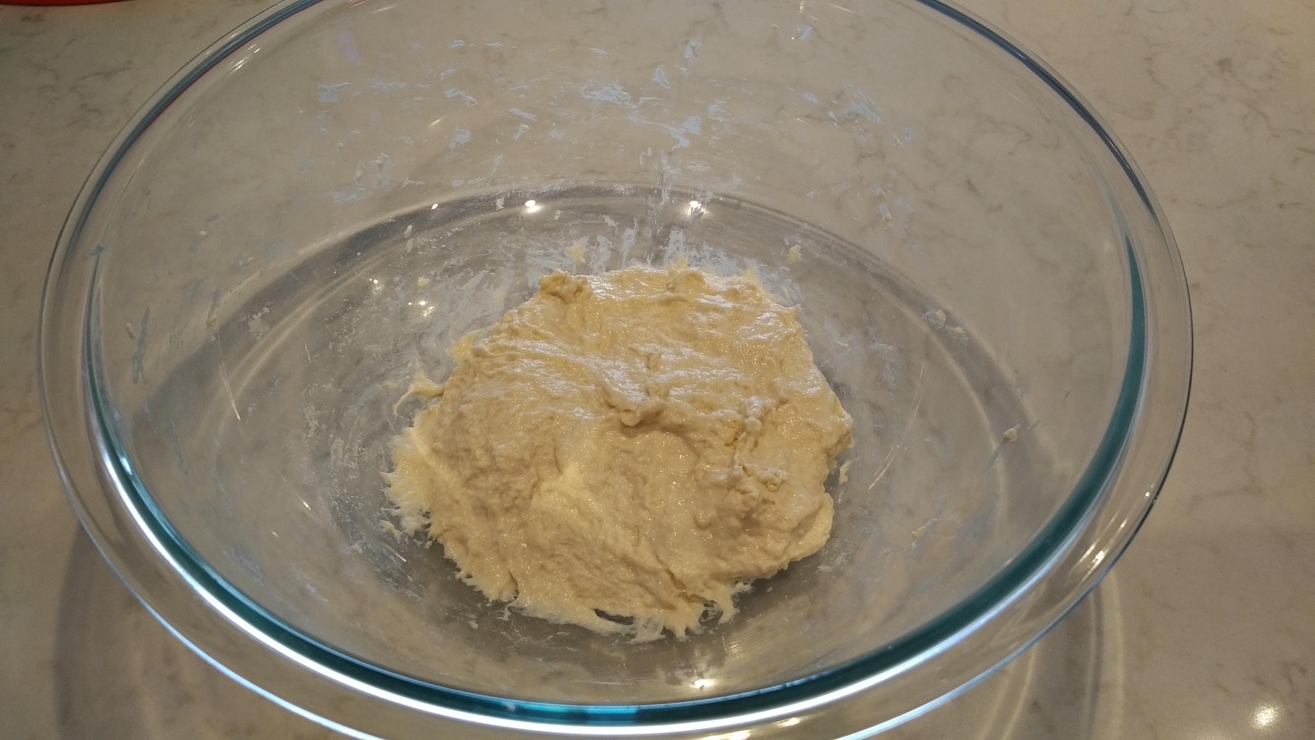 Whole Wheat Loaf (1 of 2)