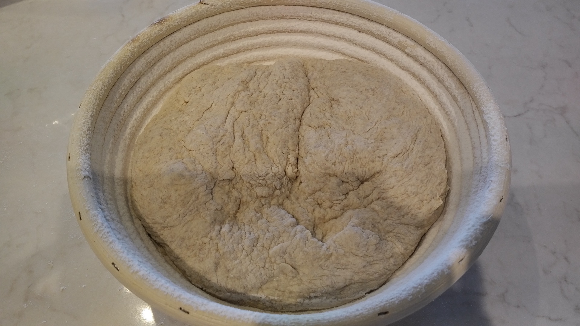 Dough in banneton