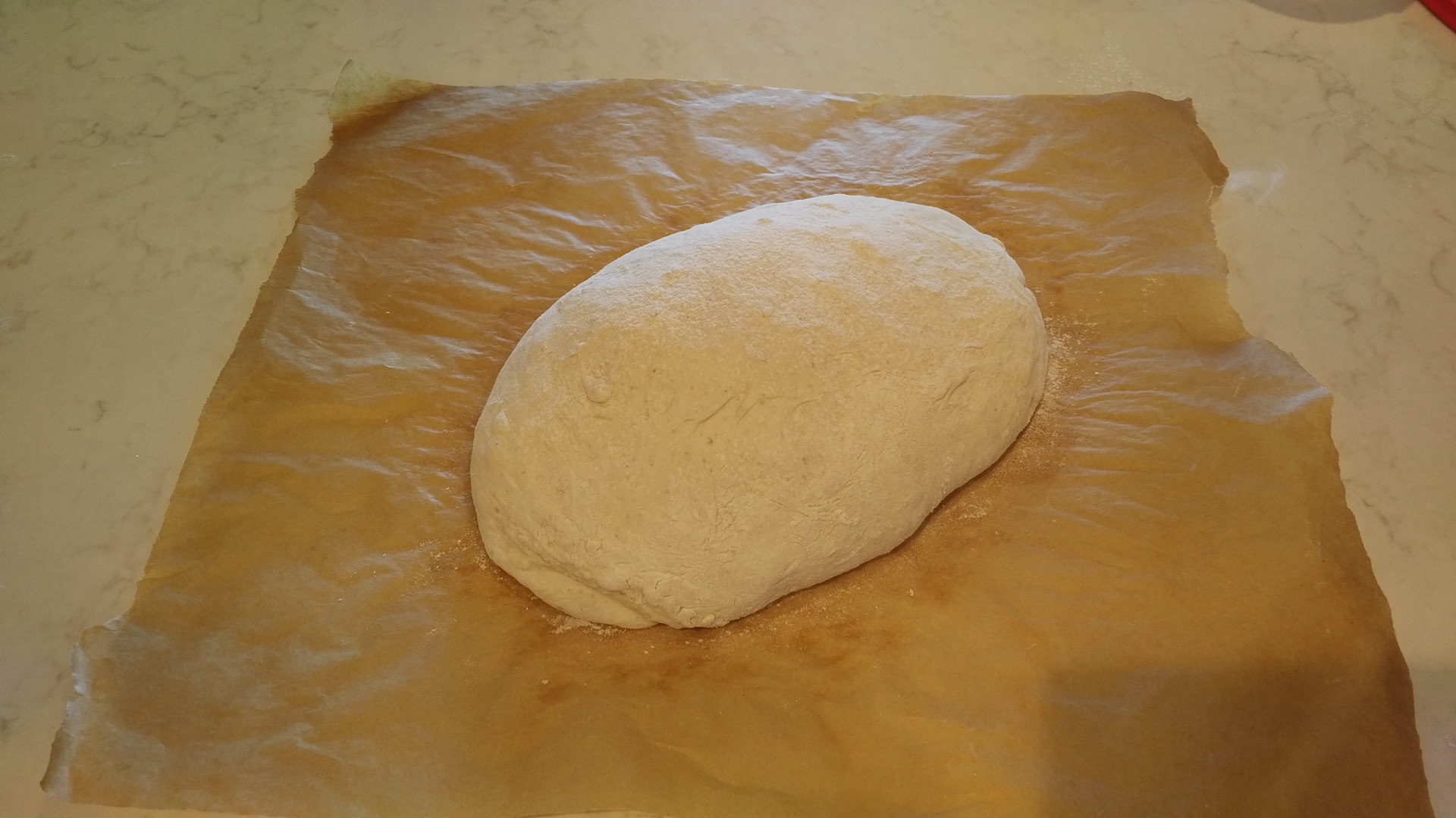 Proofed dough