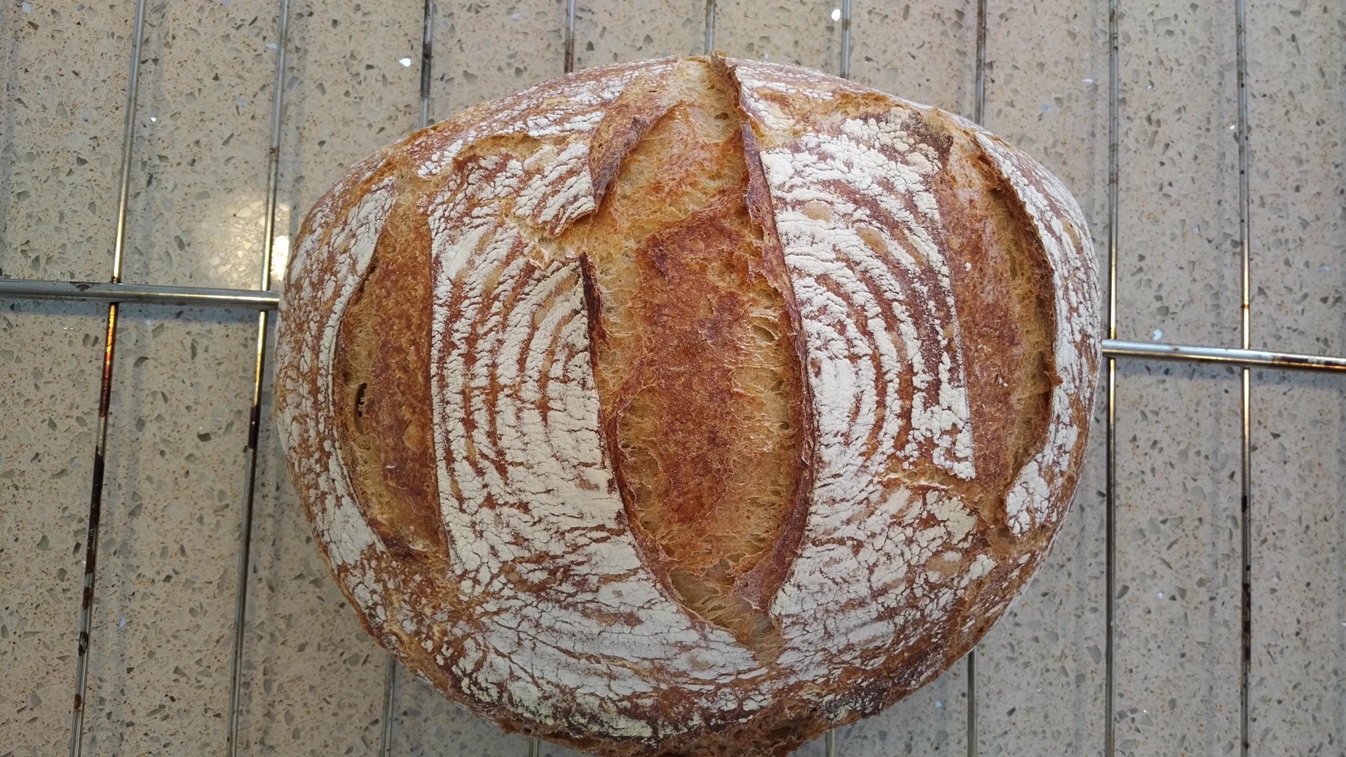Whole Wheat Boule - Day 2