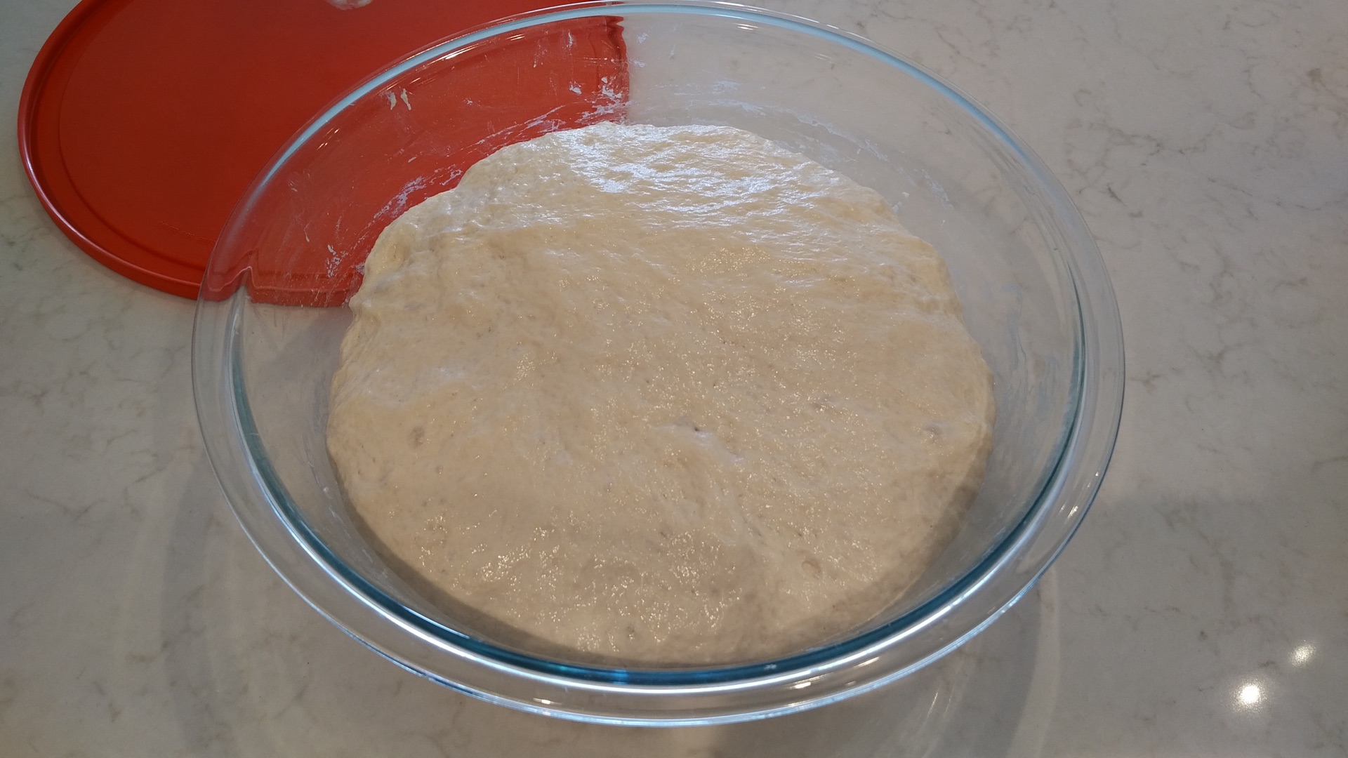 Risen Dough