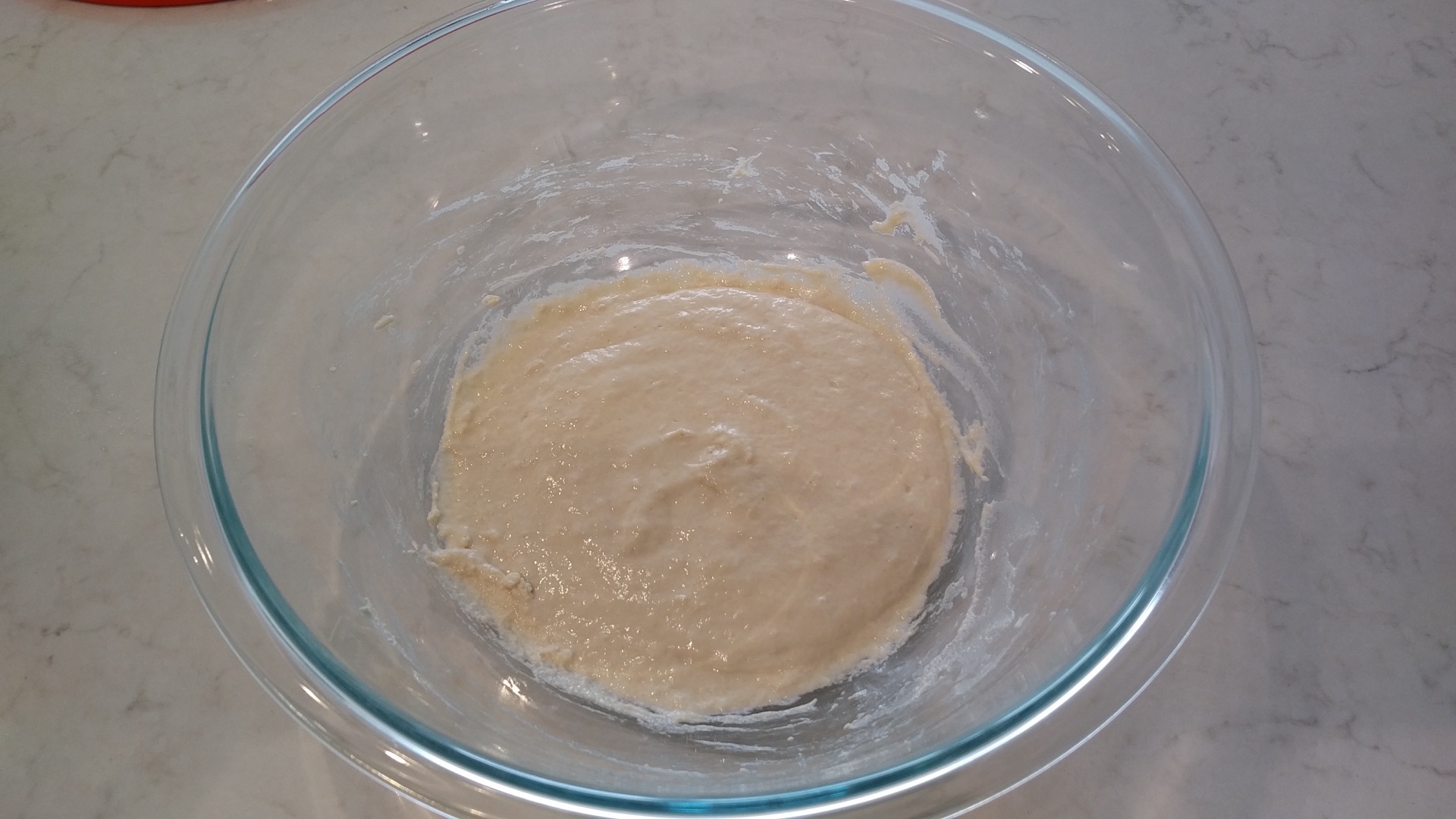 Sour Ciabatta I