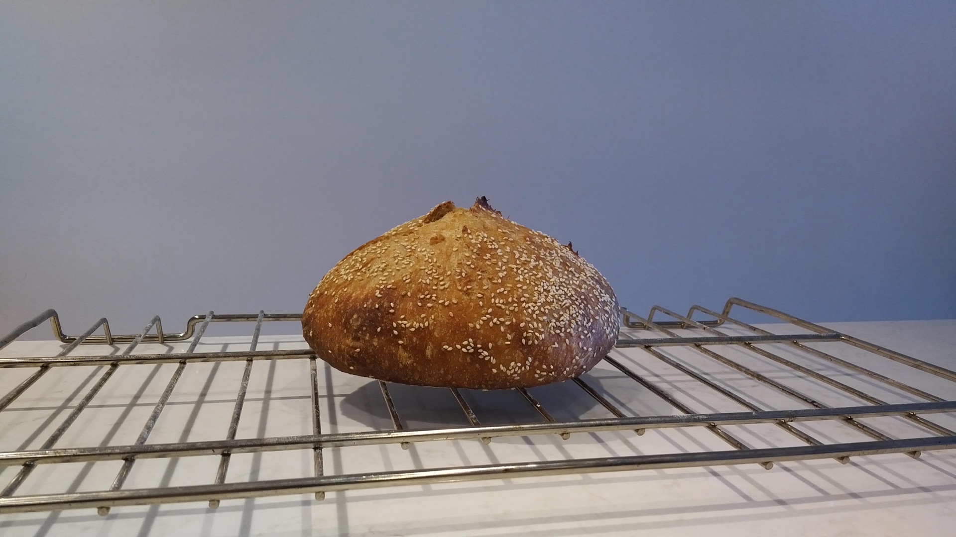 Whole Wheat Sesame Loaf Part Two