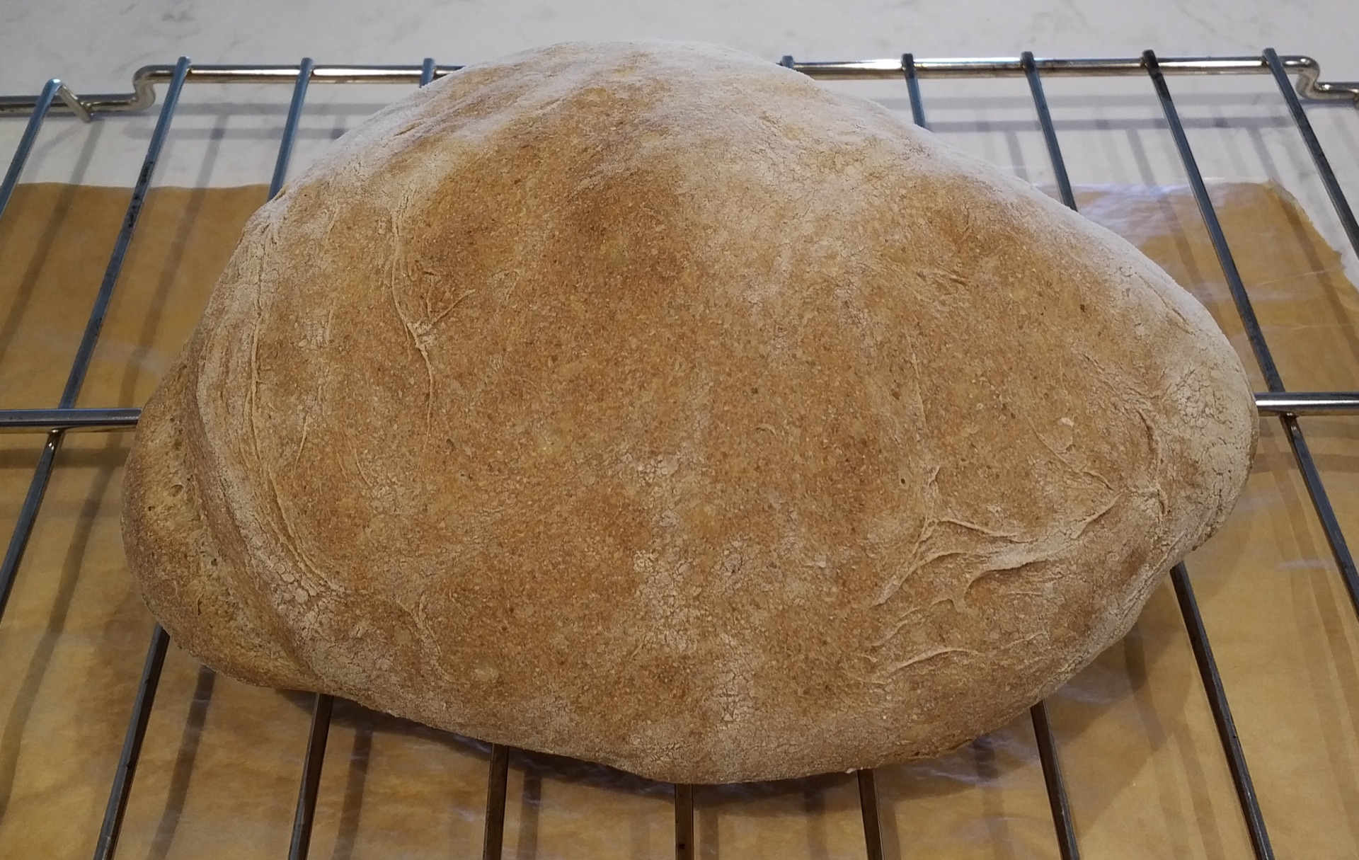 Bread