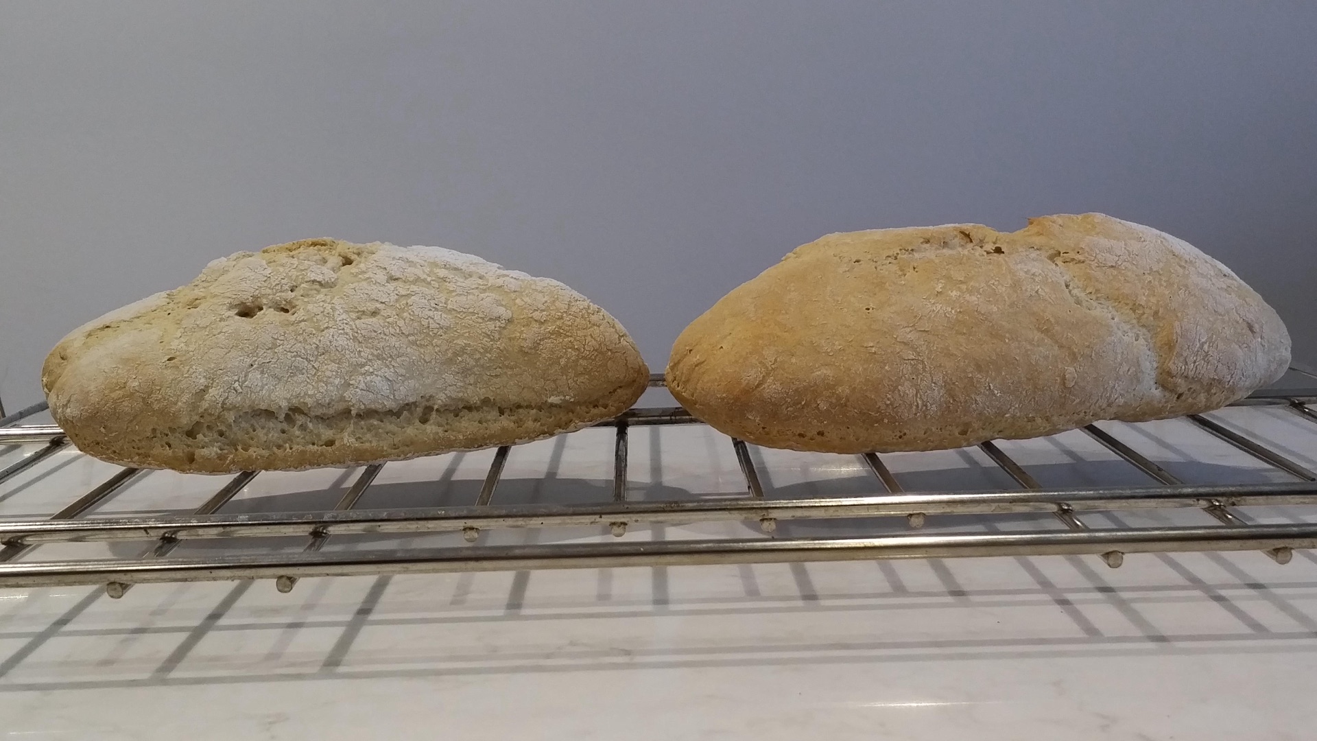 Sour Ciabatta III