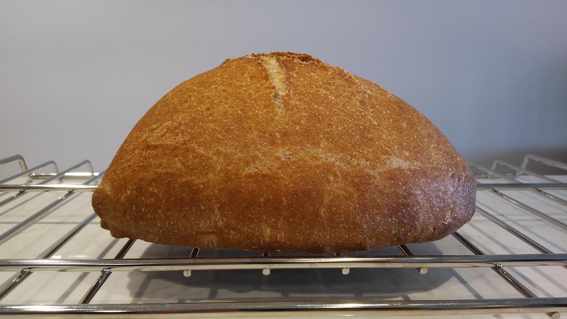 Spelt Loaf II